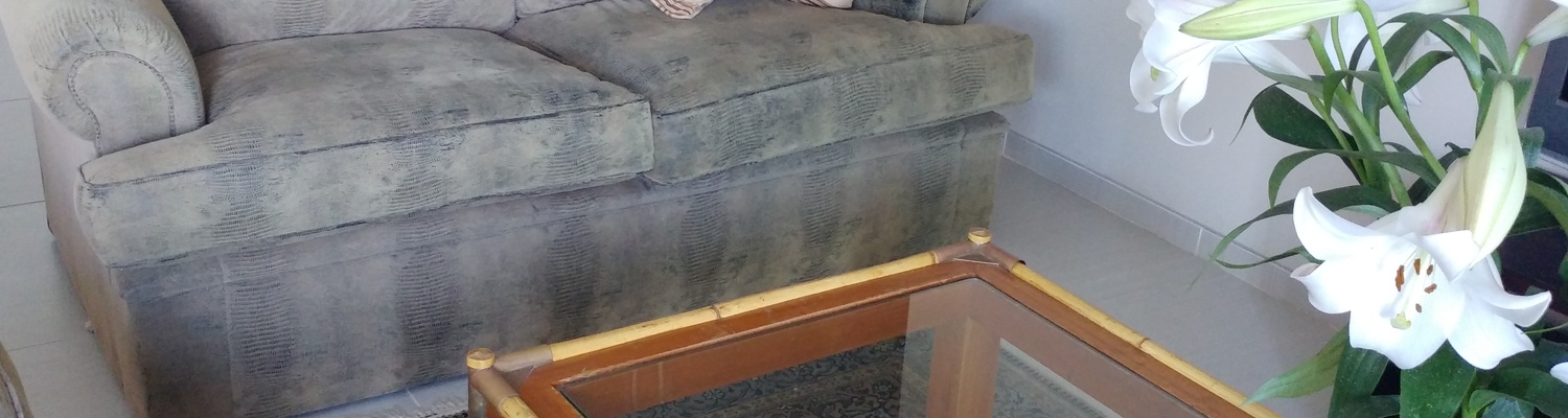 Sleeper couch in lounge